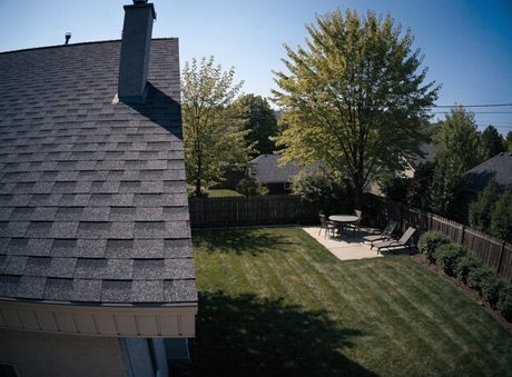 Backyard camera feed